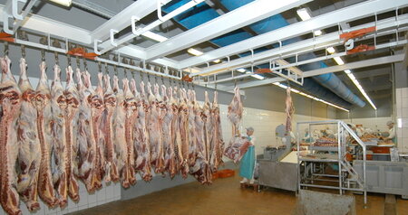 Дезинсекция на мясокомбинате в Чехове, цены на услуги