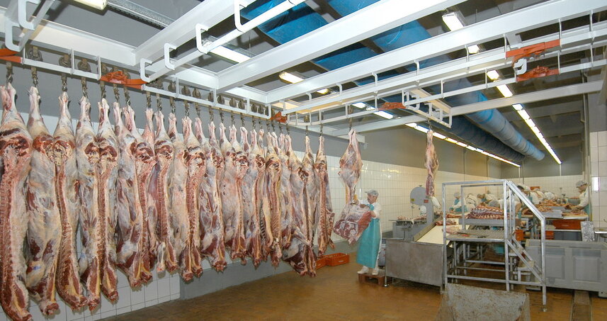 Дезинсекция на мясокомбинате в Чехове, цены на услуги